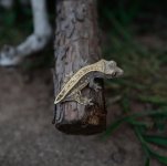 IMG_20170718_214532_805.jpg