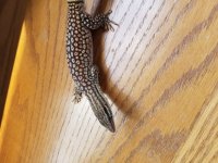 20170807_122821.jpg