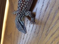20170807_122837.jpg