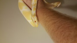 20171023_202208.jpg