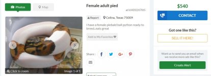 BlanchAdTX.jpg