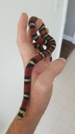 20170529_104914.jpg