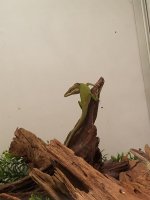 20170803_180631.jpg