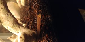20171118_202142[1].jpg