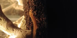 20171118_202031[1].jpg