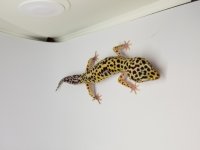 20170613_194509.jpg