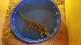 20170430_113939.jpg