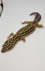 20170613_210844.jpg