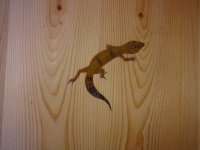 IMG_20170818_180501026.jpg