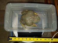 20170616_044923.jpg