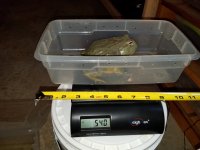 20170616_044953.jpg