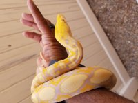 20170831_115809.jpg