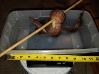 20170616_045554.jpg