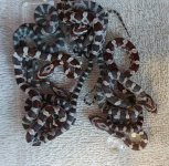 Baby corns.jpg