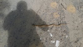 20171003_111220.jpg