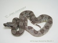 IMG_9294WM.jpg