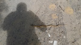 20171003_111215.jpg