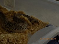 DSCN0872.jpg