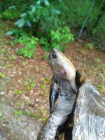 IMG_20170624_183551.jpg