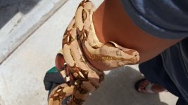 20170529_123729.jpg