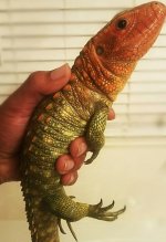 IMG_20171105_184038.jpg