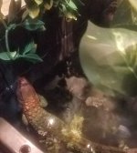 IMG_20171105_184154.jpg