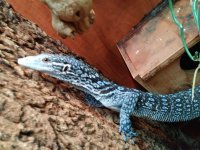 20170830_114817.jpg