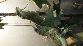 20170714_180435.jpg