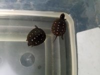 20170830_141952.jpg