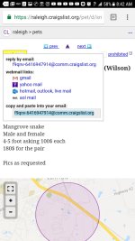 Screenshot_20171211-084231.jpg