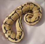 20171207_080244.jpg