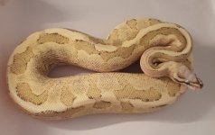 20171207_080259.jpg