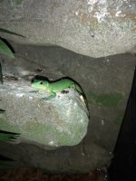 IMG_20171024_163507393.jpg