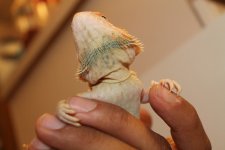 IMG_2854.jpg