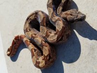 20170807_165938.jpg