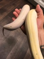 received_1602799163064500.jpg