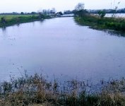 IMG_20170306_152310.jpg