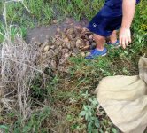 IMG_20161020_120119.jpg