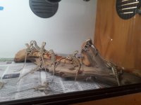 20170910_182603.jpg