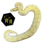 bananaspidermale.jpg