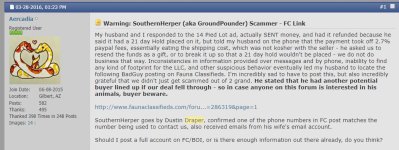 Draper1.jpg