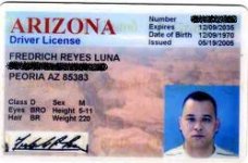 license.JPG