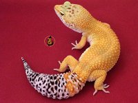 test1_1.jpg