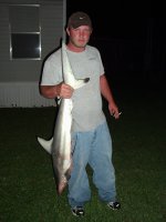Pictureofsharks06012.jpg
