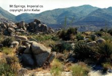 granite night lizard habitat Medium Web view.jpg