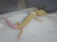 dsc01053.jpg