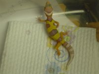 dsc01050.jpg