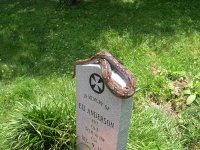 dscn0503 (medium).jpg