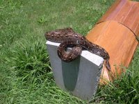 dscn0502 (medium).jpg