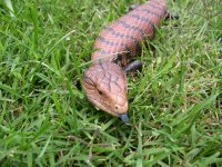 dscn0545 (medium).jpg